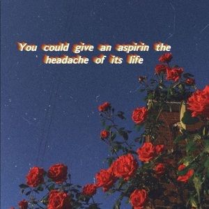 Meet your Posher, Syd